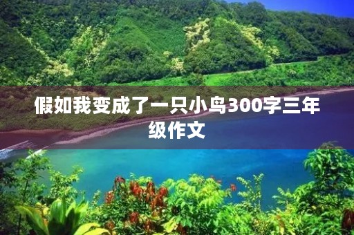 假如我变成了一只小鸟300字三年级作文 假如我变成了一只小鸟300字三年级作文