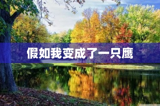 假如我变成了一只鹰 假如我变成了一只鹰