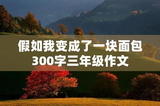 假如我变成了一块面包300字三年级作文