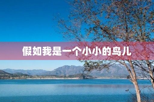 假如我是一个小小的鸟儿 假如我是一个小小的鸟儿