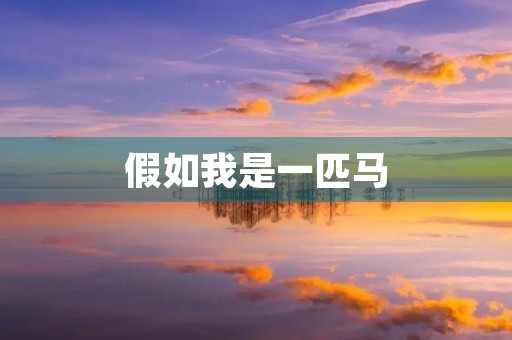 假如我是一匹马