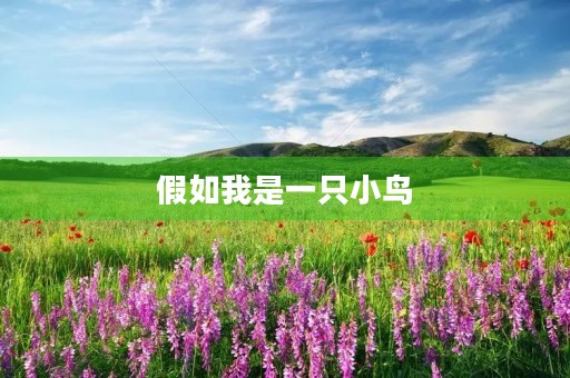 假如我是一只小鸟，我要飞向哪里？