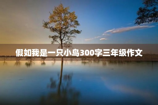 假如我是一只小鸟300字三年级作文 假如我是一只小鸟300字三年级作文