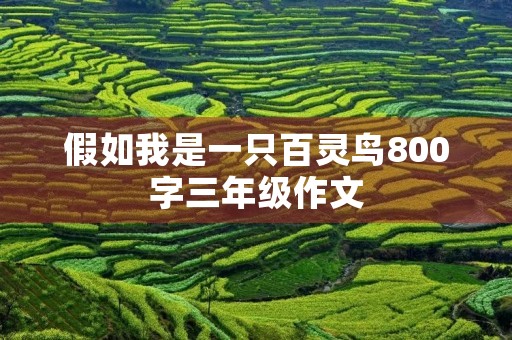 假如我是一只百灵鸟800字三年级作文 假如我是一只百灵鸟800字三年级作文