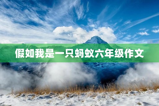 假如我是一只蚂蚁六年级作文