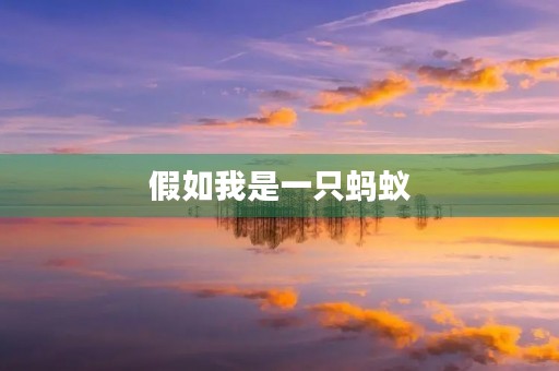 假如我是一只蚂蚁，我会怎样生活？