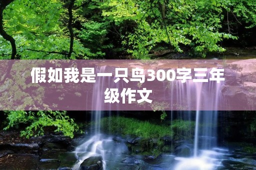 假如我是一只鸟300字三年级作文