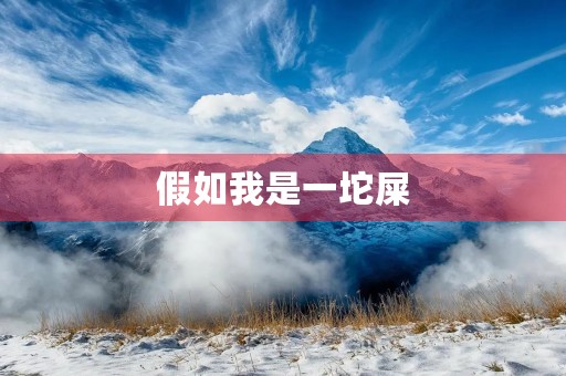 假如我是一坨屎 假如我是一坨屎