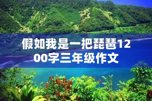 假如我是一把琵琶1200字三年级作文