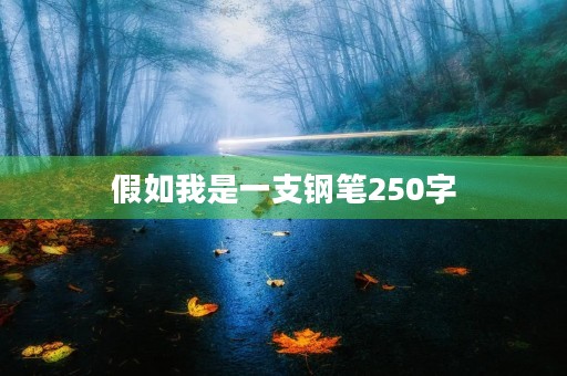 假如我是一支钢笔250字