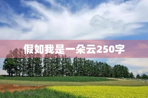 假如我是一朵云250字
