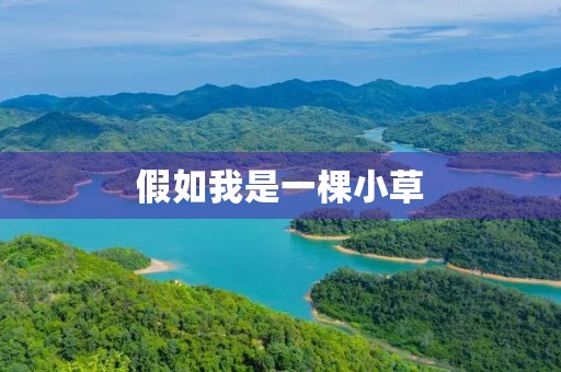 假如我是一棵小草