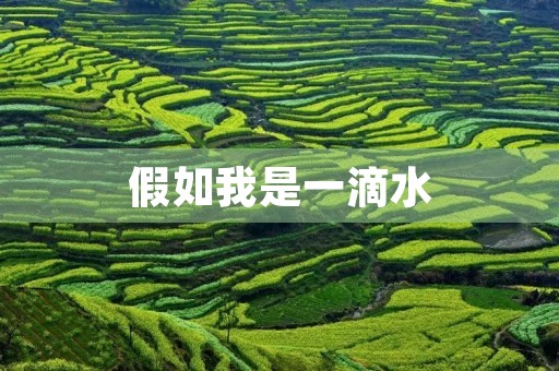 假如我是一滴水，我会去哪里？