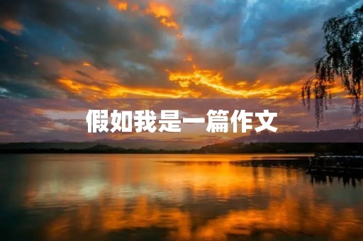假如我是一篇作文