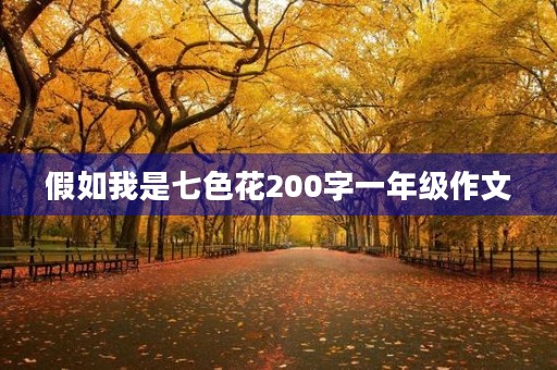 假如我是七色花200字一年级作文