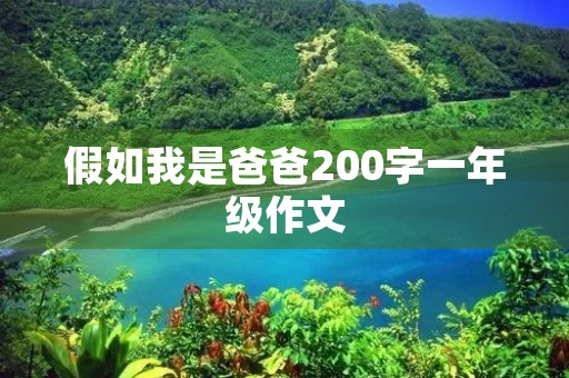 假如我是爸爸200字一年级作文
