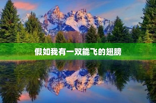 假如我有一双能飞的翅膀