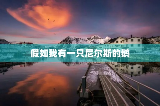 假如我有一只尼尔斯的鹅 假如我有一只尼尔斯的鹅