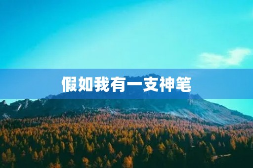 假如我有一支神笔