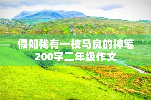 假如我有一枝马良的神笔200字二年级作文