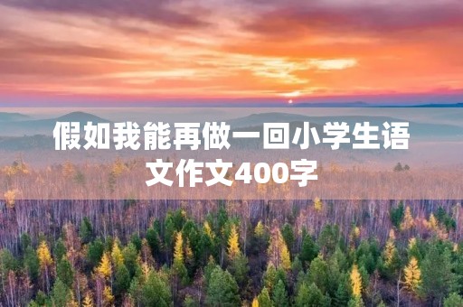 假如我能再做一回小学生语文作文400字