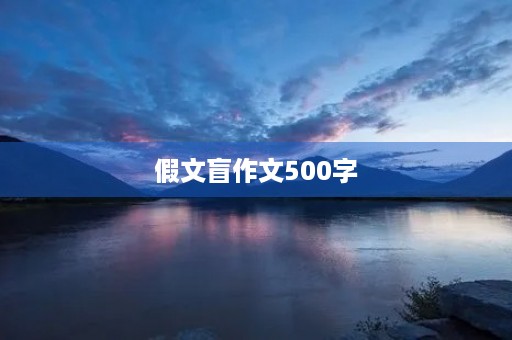 假文盲作文500字