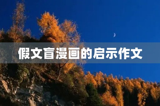 假文盲漫画的启示作文