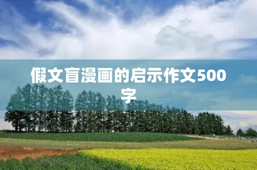 假文盲漫画的启示作文500字