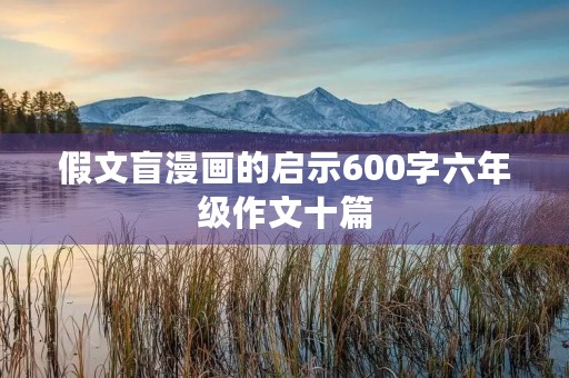 假文盲漫画的启示600字六年级作文十篇 假文盲漫画的启示600字六年级作文十篇