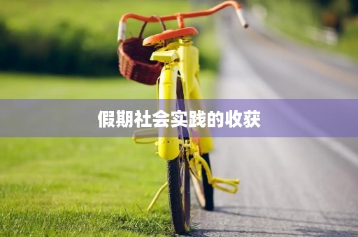 假期社会实践的收获