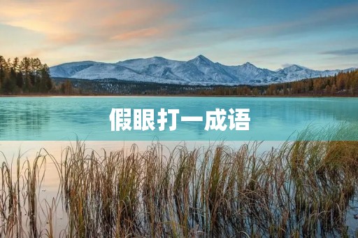假眼打一成语 假眼打一成语