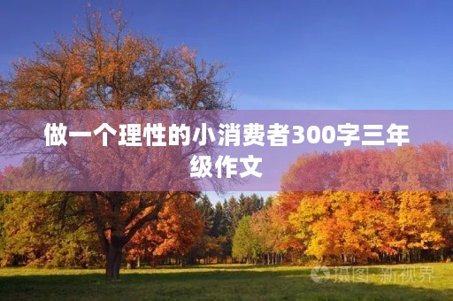 做一个理性的小消费者300字三年级作文 做一个理性的小消费者300字三年级作文