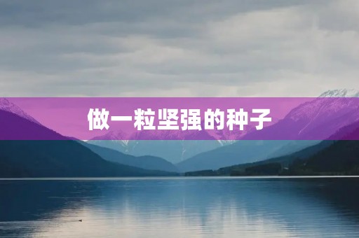 做一粒坚强的种子
