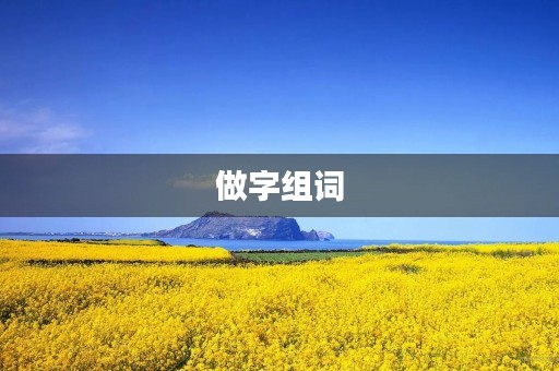 做字组词(做组词)