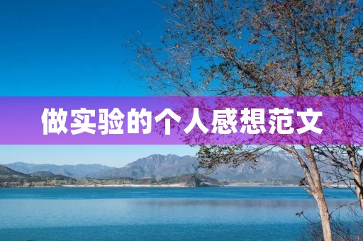 做实验的个人感想范文