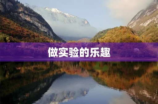 做实验的乐趣 做实验的乐趣