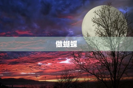 做蝴蝶 做蝴蝶