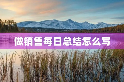 做销售每日总结怎么写