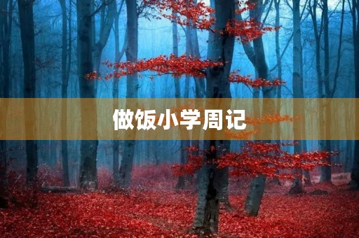 做饭小学周记 做饭小学周记