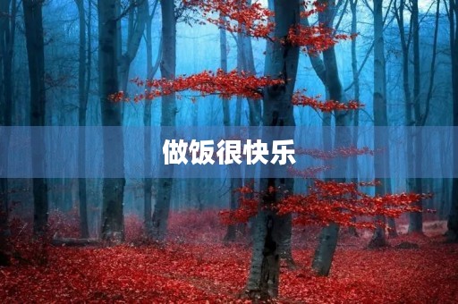 做饭很快乐 做饭很快乐
