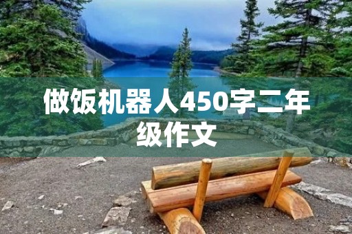 做饭机器人450字二年级作文