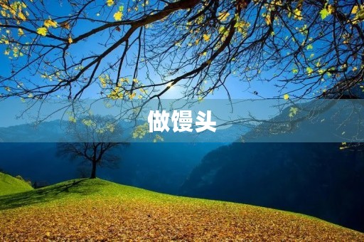 做馒头 做馒头