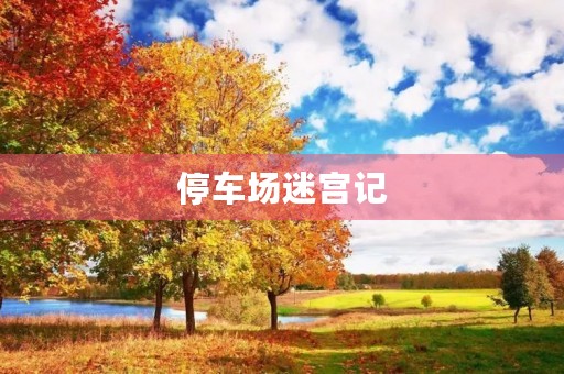 停车场迷宫记 停车场迷宫记