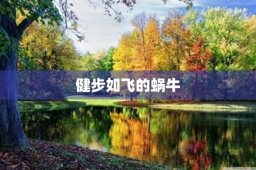 健步如飞的蜗牛 健步如飞的蜗牛