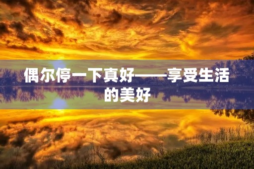 偶尔停一下真好——享受生活的美好