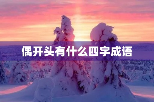 偶开头有什么四字成语