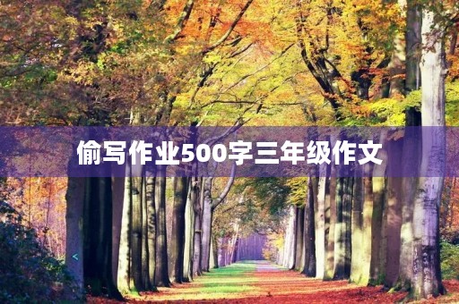 偷写作业500字三年级作文 偷写作业500字三年级作文
