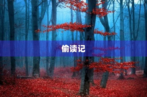 偷读记 偷读记