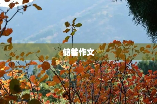 储蓄作文