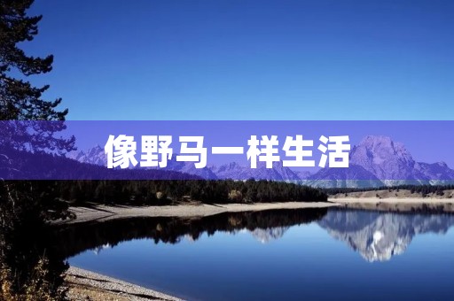 像野马一样生活